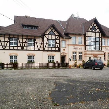 Penzion U Zamku Habartov Exterior photo